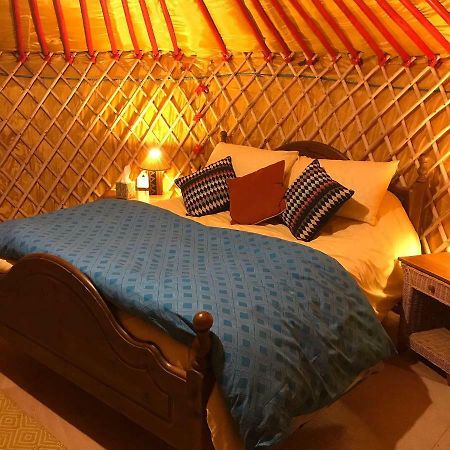 Mcclure Yurt At Carrigeen Glamping Kilkenny Exterior foto
