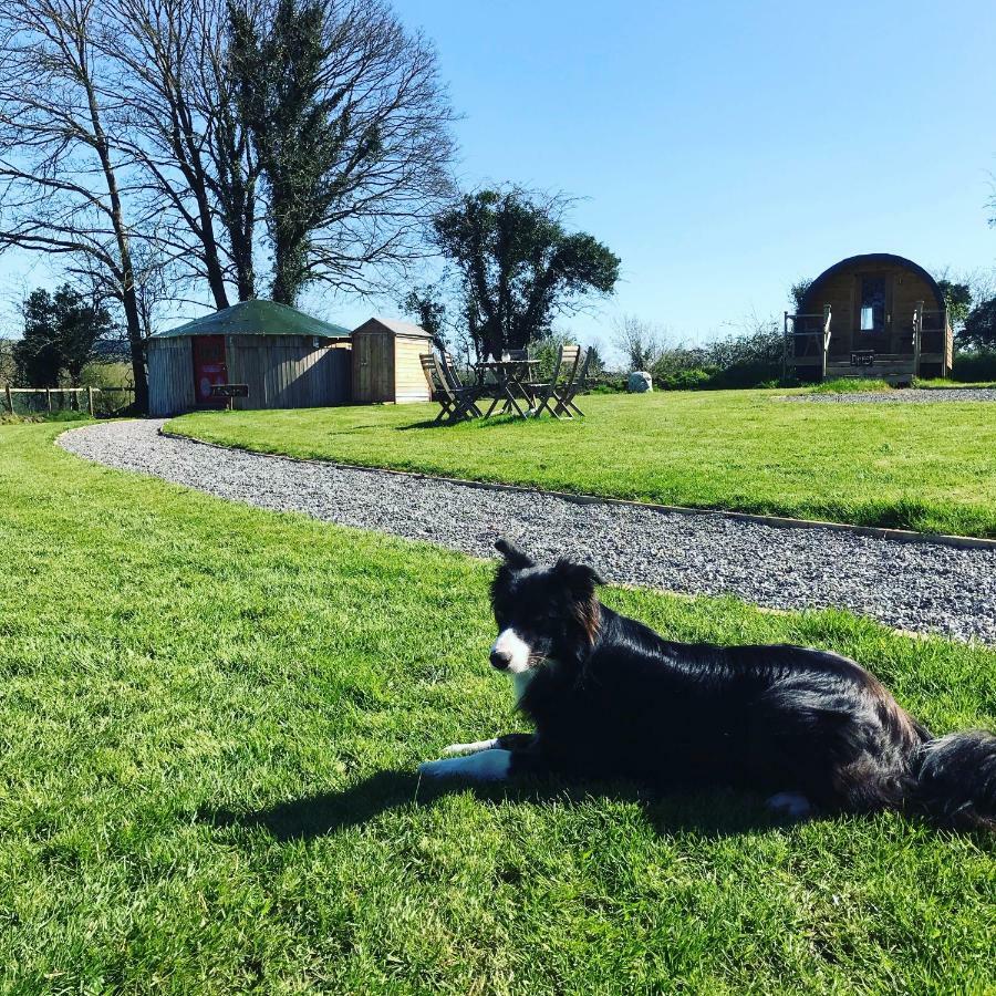 Mcclure Yurt At Carrigeen Glamping Kilkenny Exterior foto